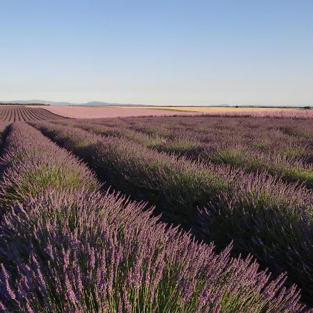 Zofia - Duplex Avec Terrasse #2 * Moustiers-Sainte-Marie