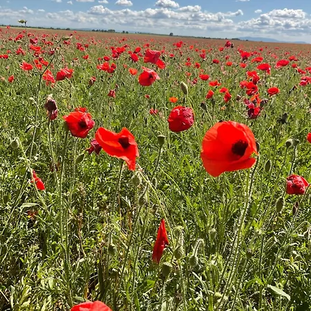 Zofia - Duplex Avec Terrasse #2 Moustiers-Sainte-Marie
