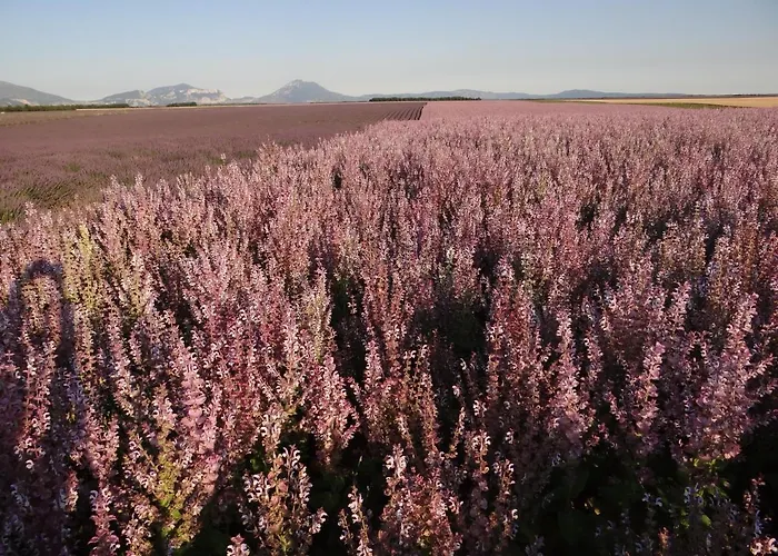 Zofia - Duplex Avec Terrasse #2 Apartment *