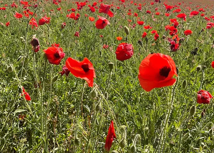 Zofia - Duplex Avec Terrasse #2 Moustiers-Sainte-Marie