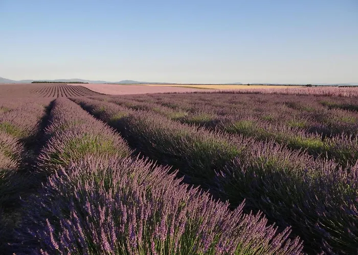 Zofia - Duplex Avec Terrasse #2 * Moustiers-Sainte-Marie